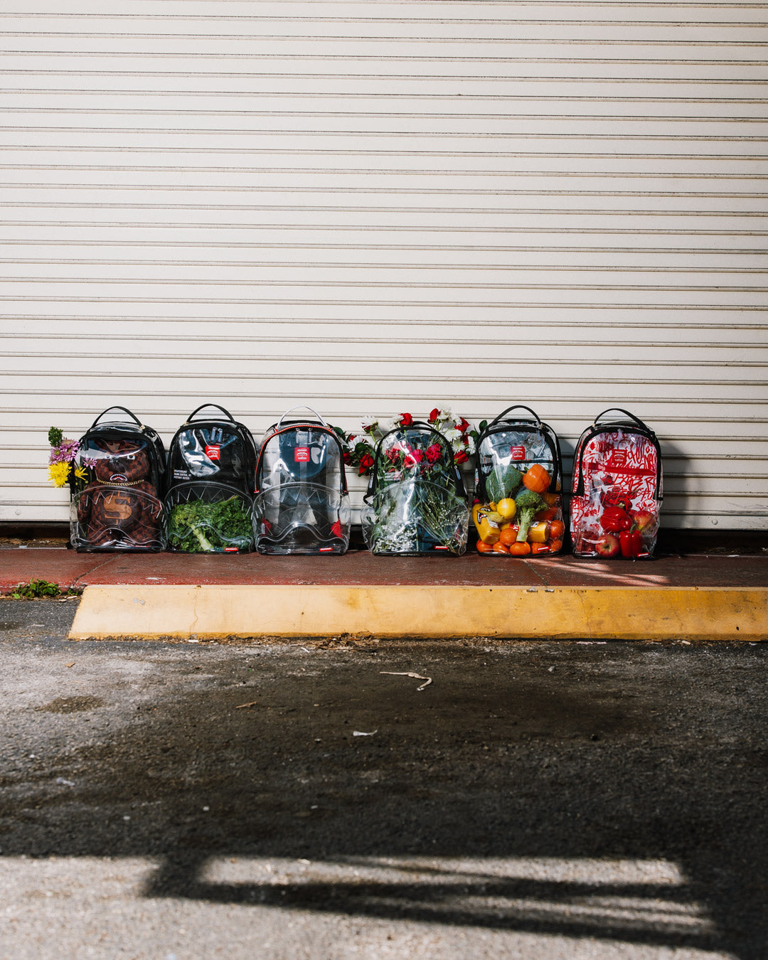 CLEAR BACKPACK - SHARK CENTRAL - Image 8